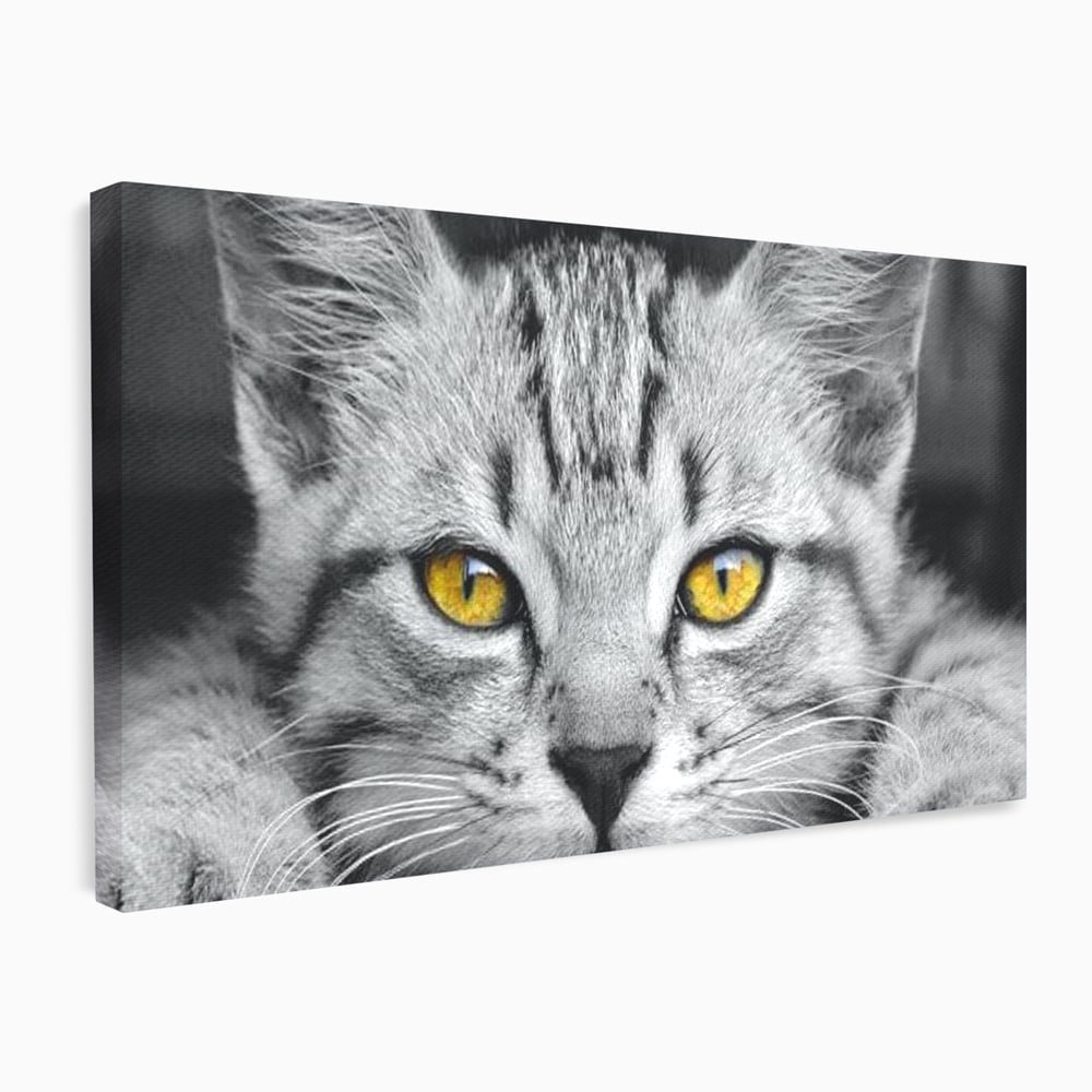 Tablou canvas cu tablou canvas cu o pisica alb-negru si ochi galbeni, fara rama, pe sasiu de lemn